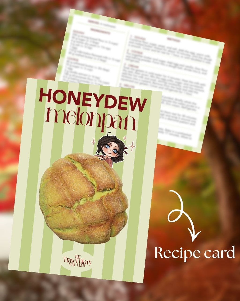 The Travel Diary mail club